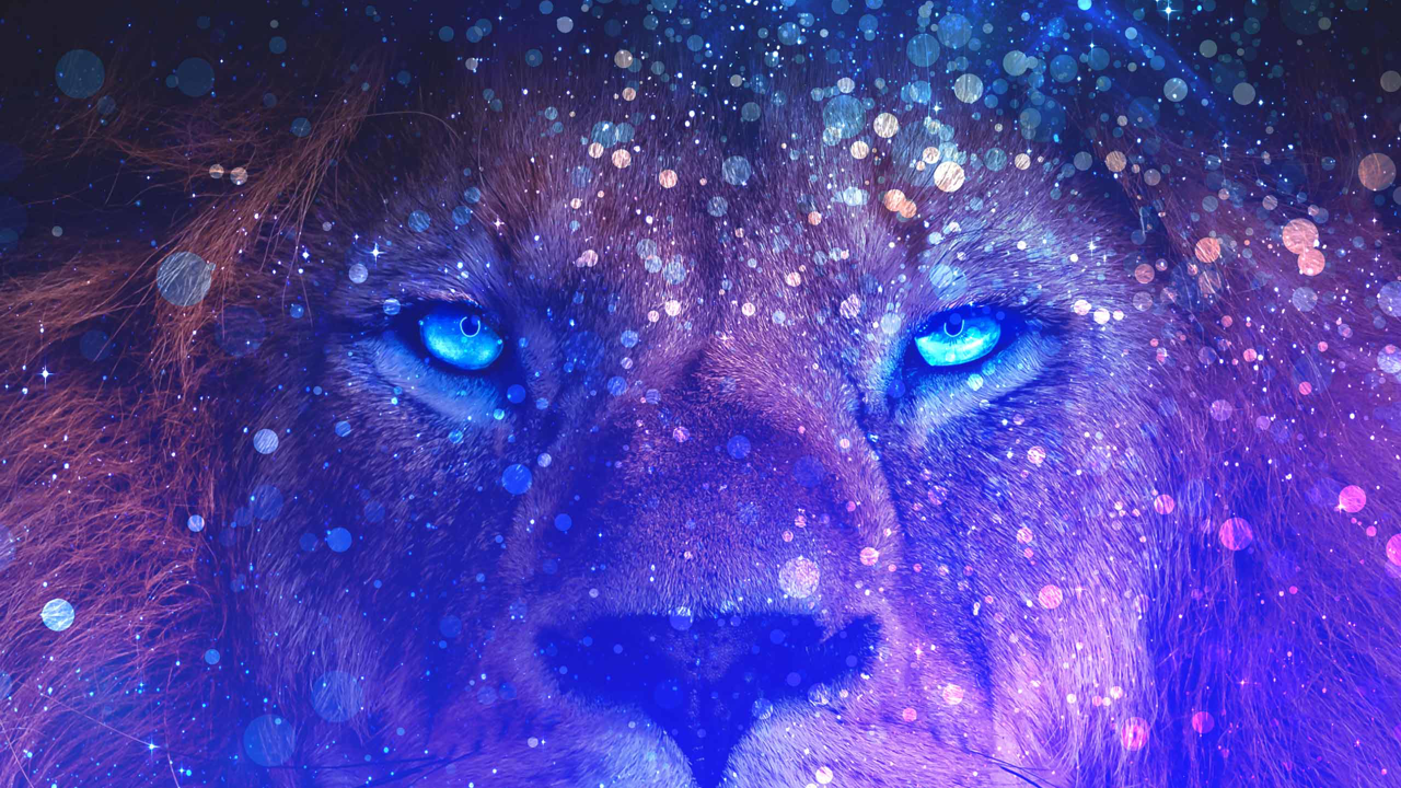 Brave Browser Wallpapers  Top Free Brave Browser Backgrounds   WallpaperAccess